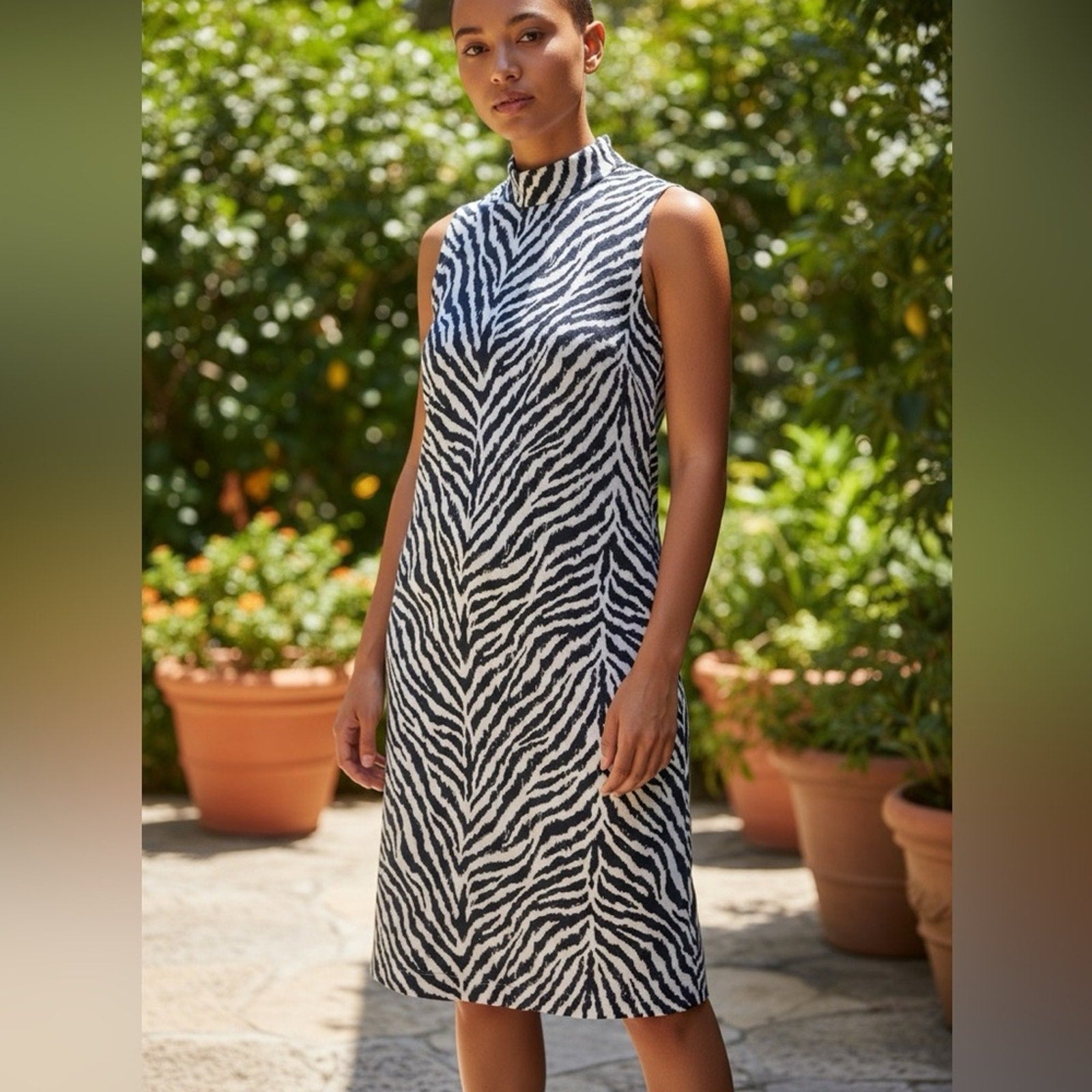 J.McLaughlin Delaney Dress Zebra Animal Print - size XS