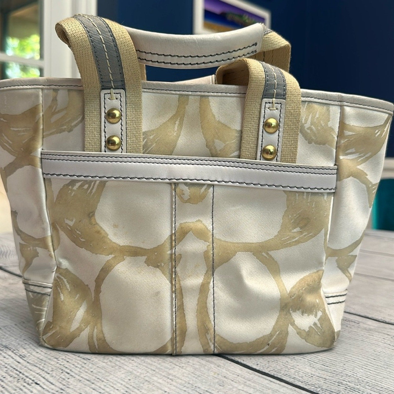 Coach hand bag Y2K white