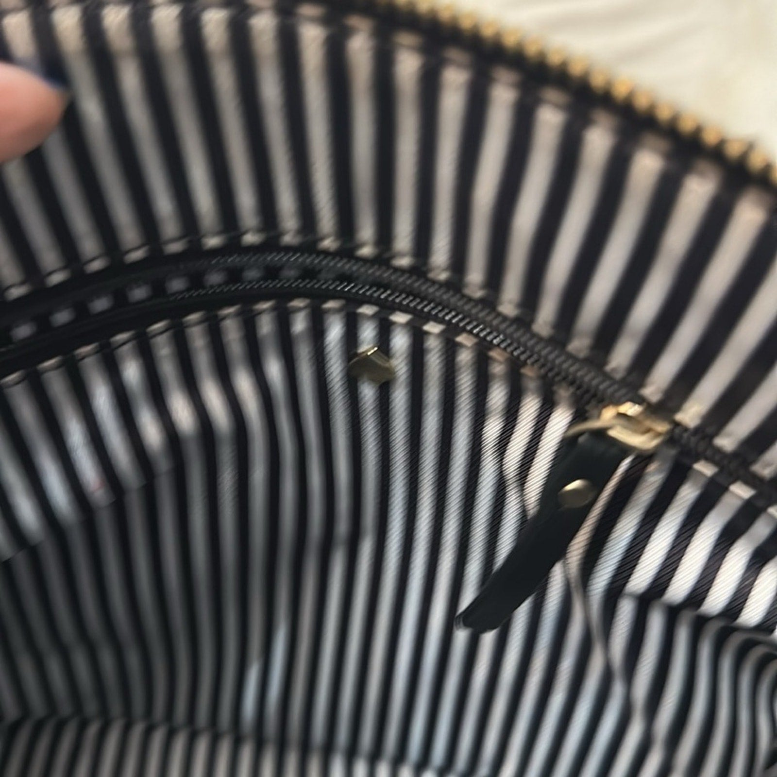 Kate Spade New York  DOWN THE RABBIT HOLE DAISY APPLIQUE MAISE