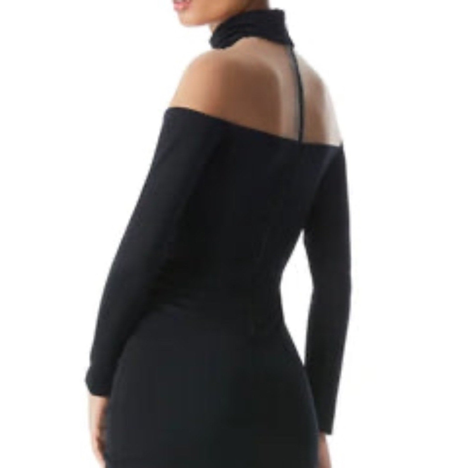 NWT Alice + Olivia Zahra Sheer Turtleneck Mini Dress - size 4