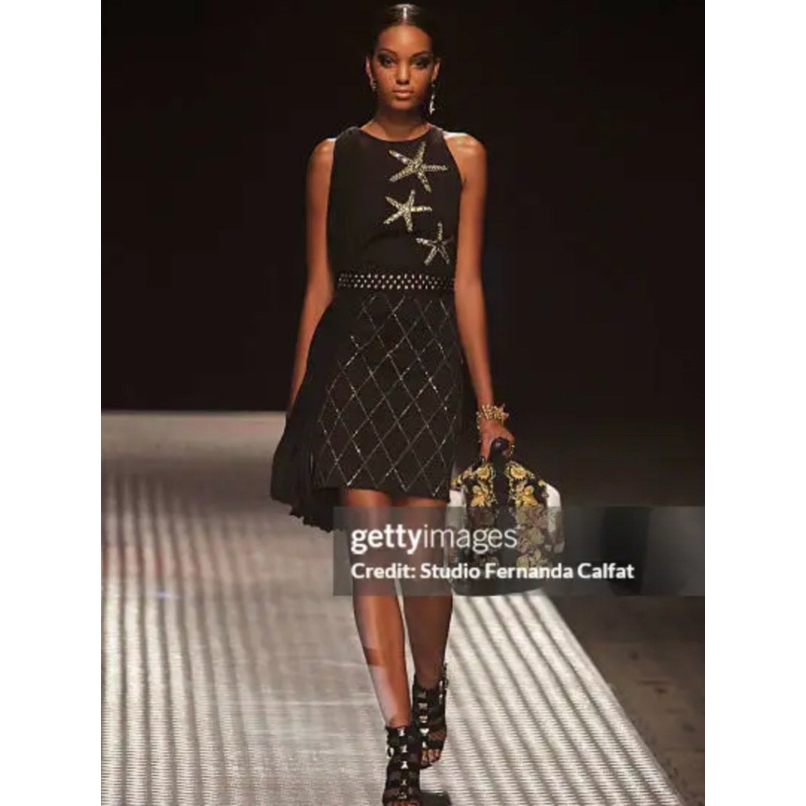 Versace for Riachuelo 2015 Winter Collection Dress - 40 (6)
