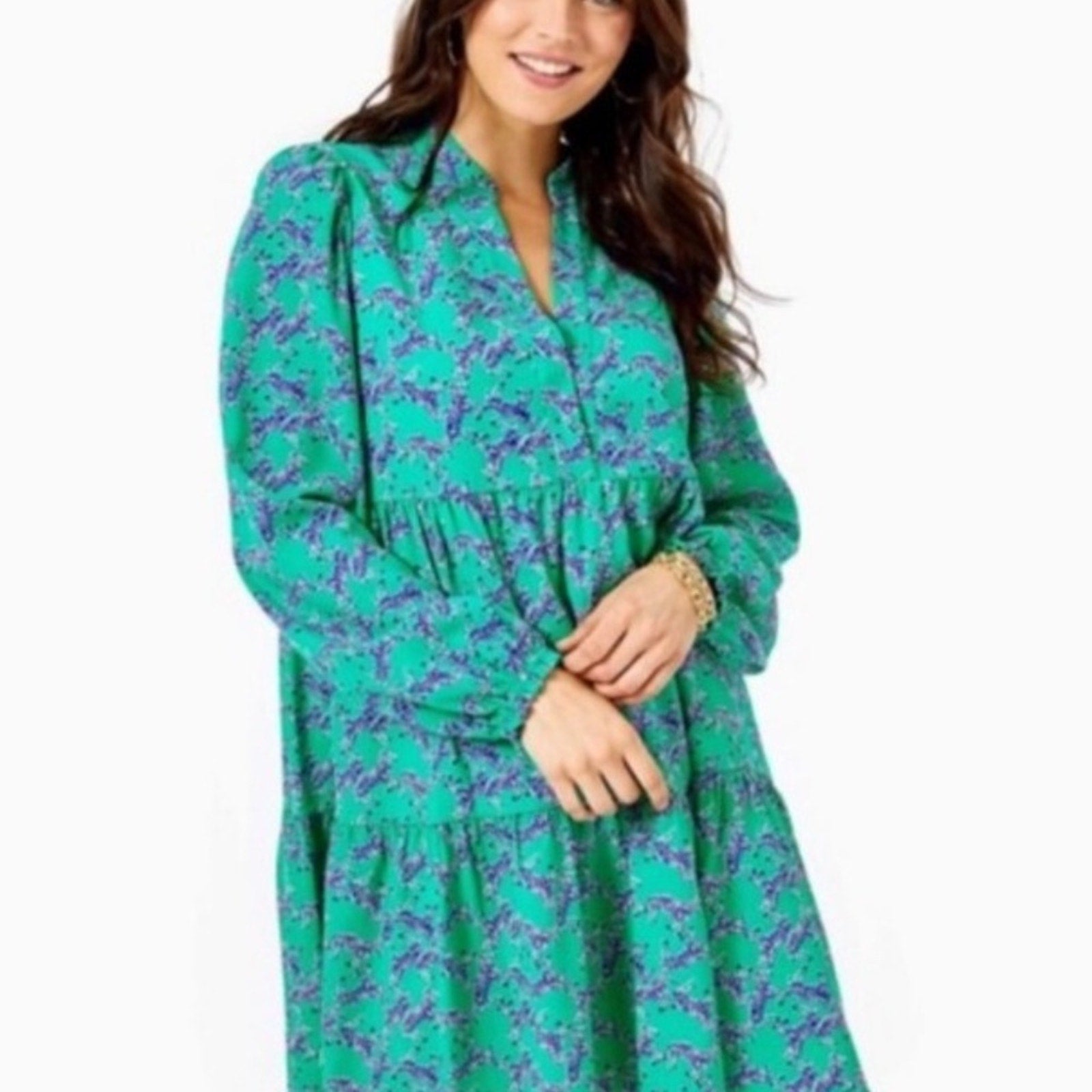 Lilly Pulitzer Winona Stretch Dress Green Heebee Zeebees Zebra - size XS