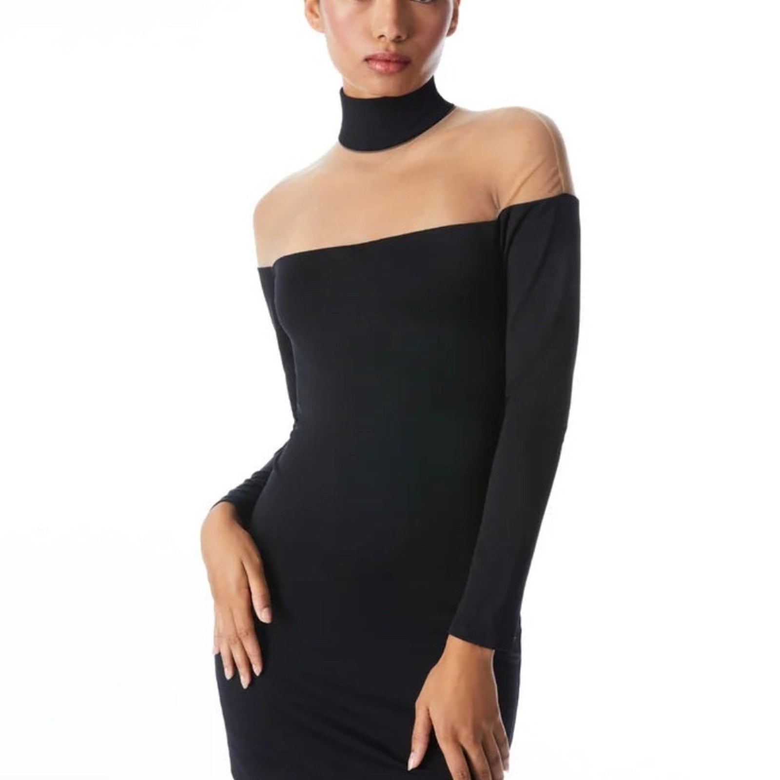 NWT Alice + Olivia Zahra Sheer Turtleneck Mini Dress - size 4