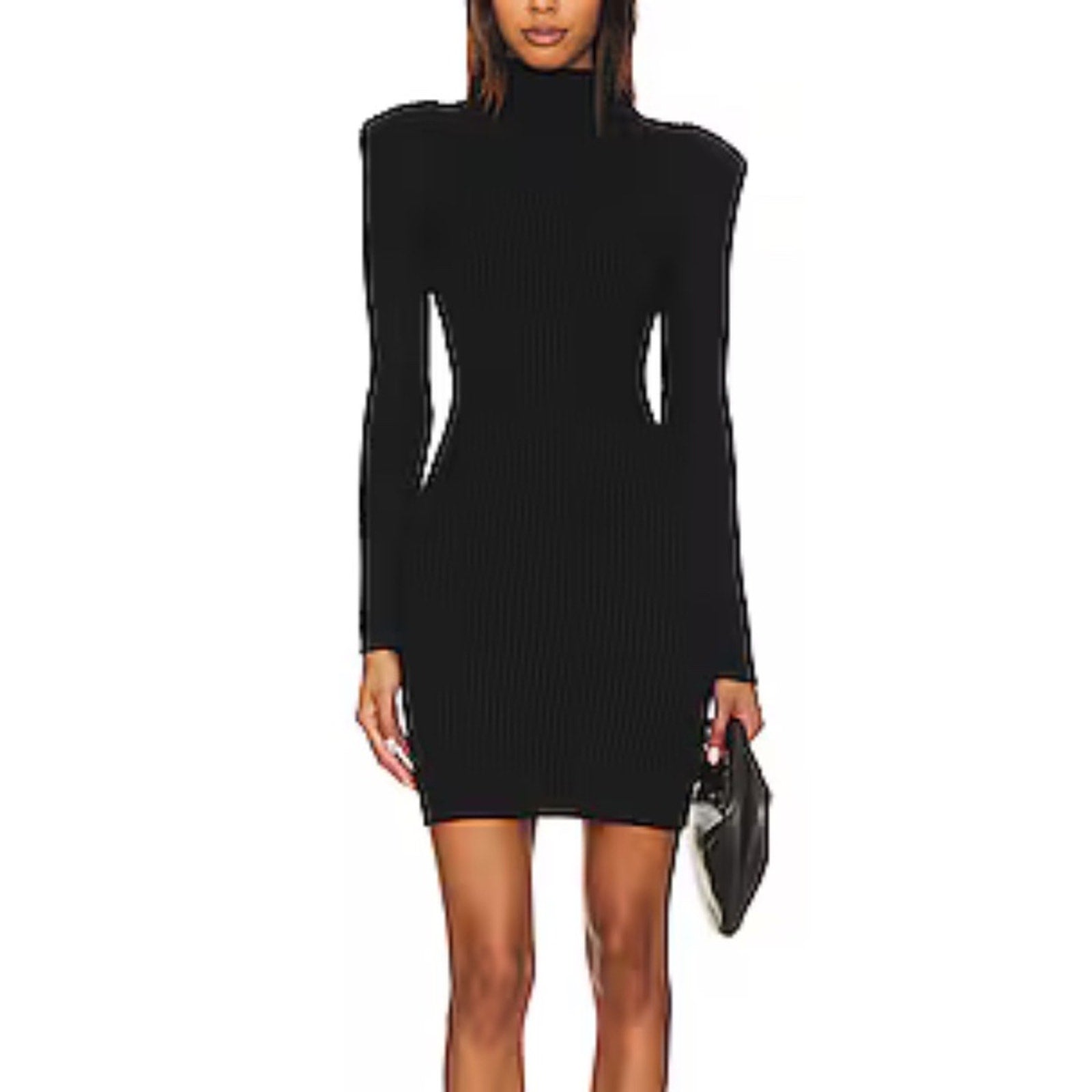 NWT Astr the label Gwendolyn Funnel Neck Long Sleeve Sweater Dress - size Large