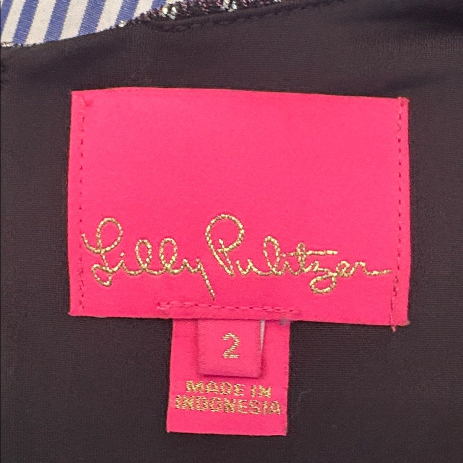 Lilly Pulitzer Racheli Crinkle Dress Gold Metallic Rope Stripe Berry - size 2