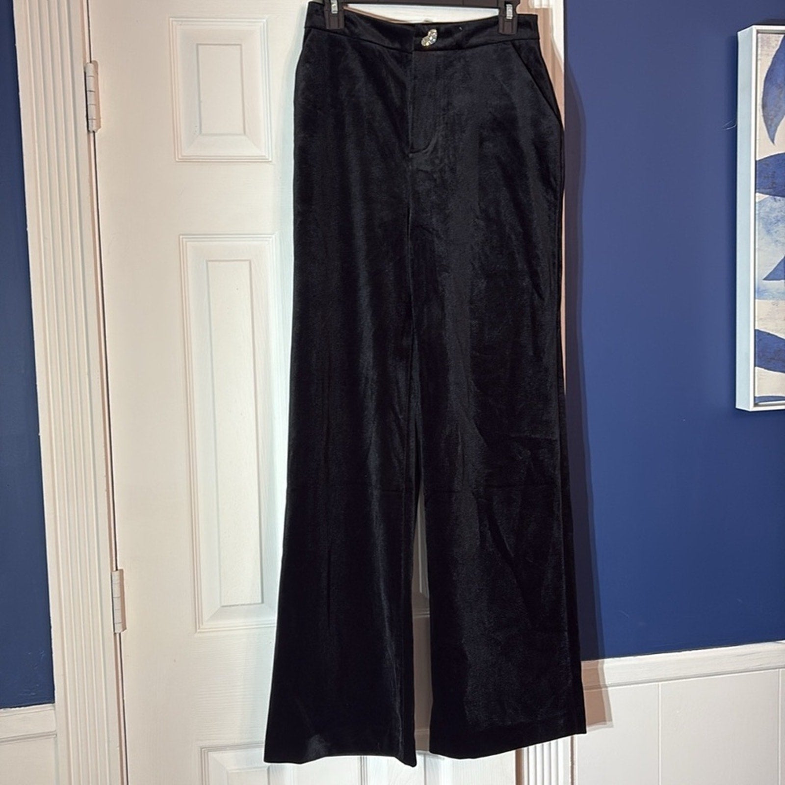 NEW Avec Les Filles black velvet pants - size 10
