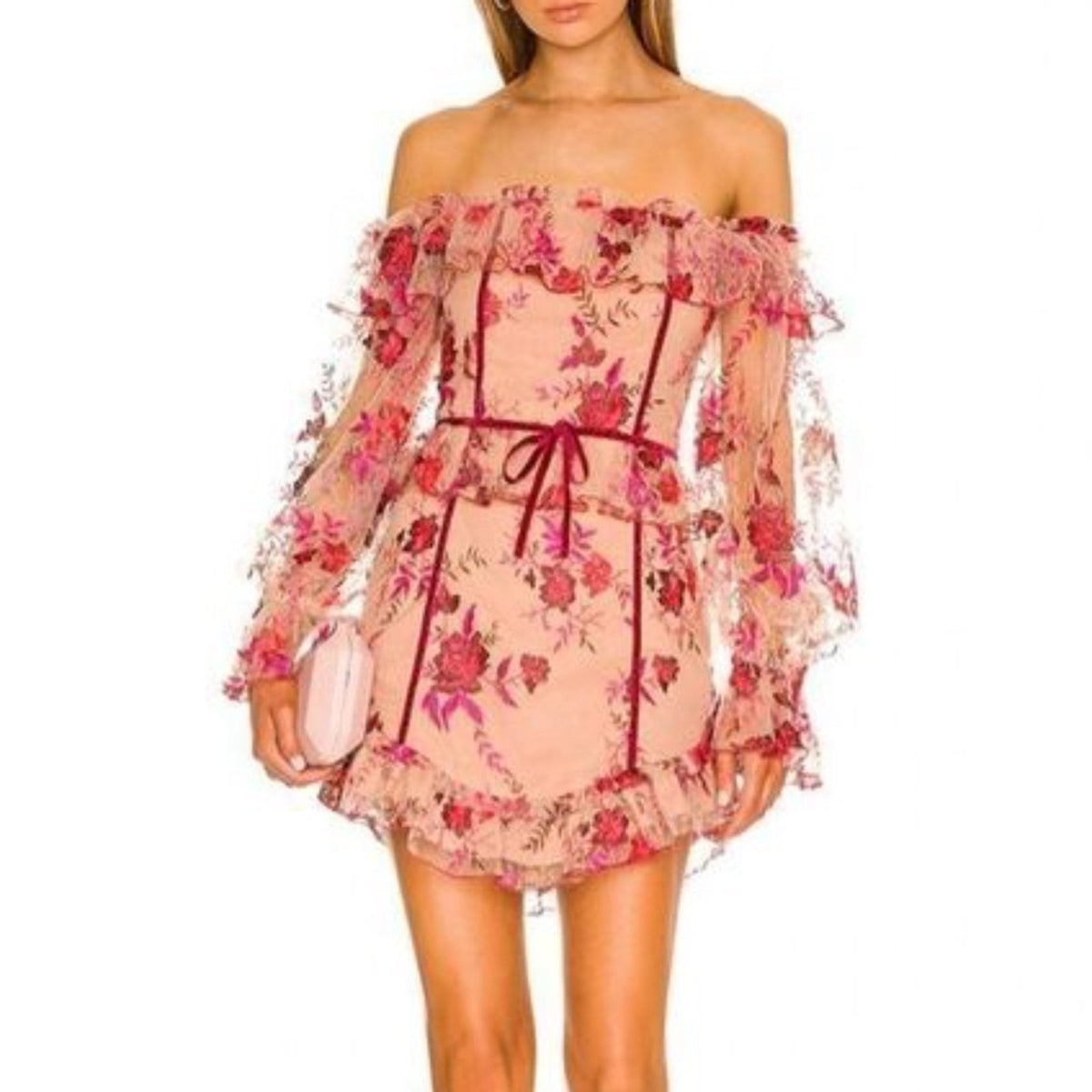 NWT Majorelle Fae Mini Dress In Scarlet Vineyard Floral Embroidered - small
