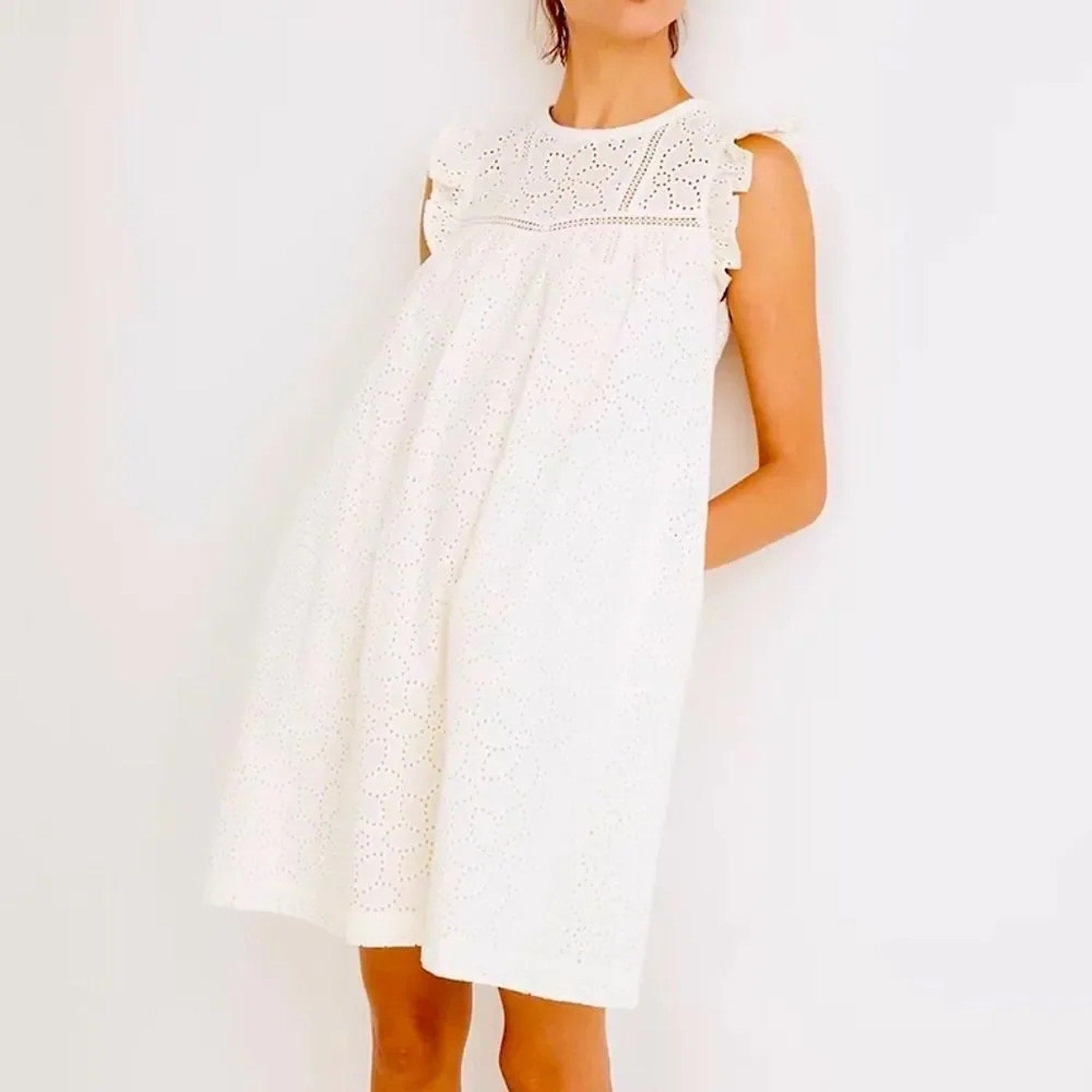 NWT Madewell Eyelet Ruffle-Sleeve Mini Dress - size M