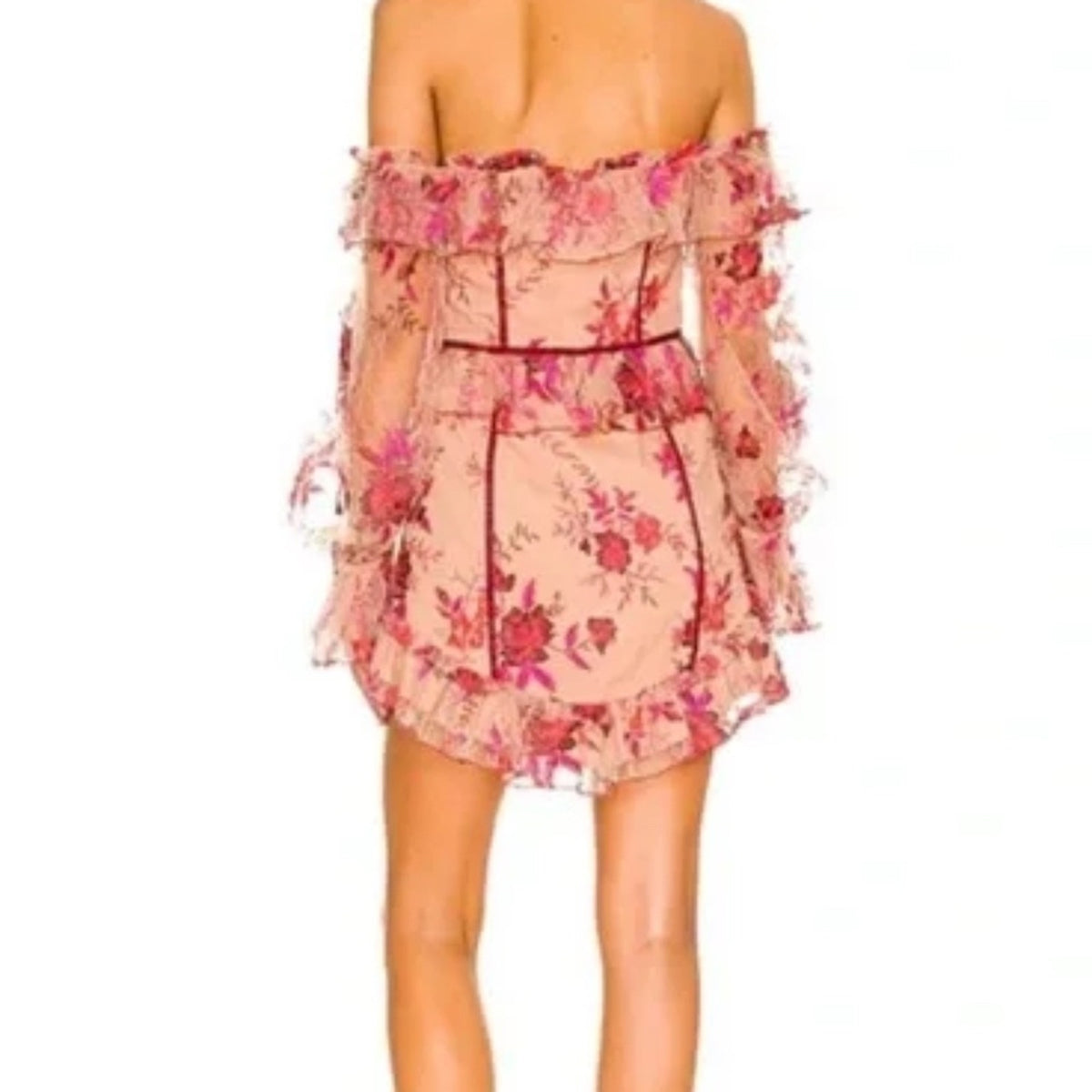 NWT Majorelle Fae Mini Dress In Scarlet Vineyard Floral Embroidered - small