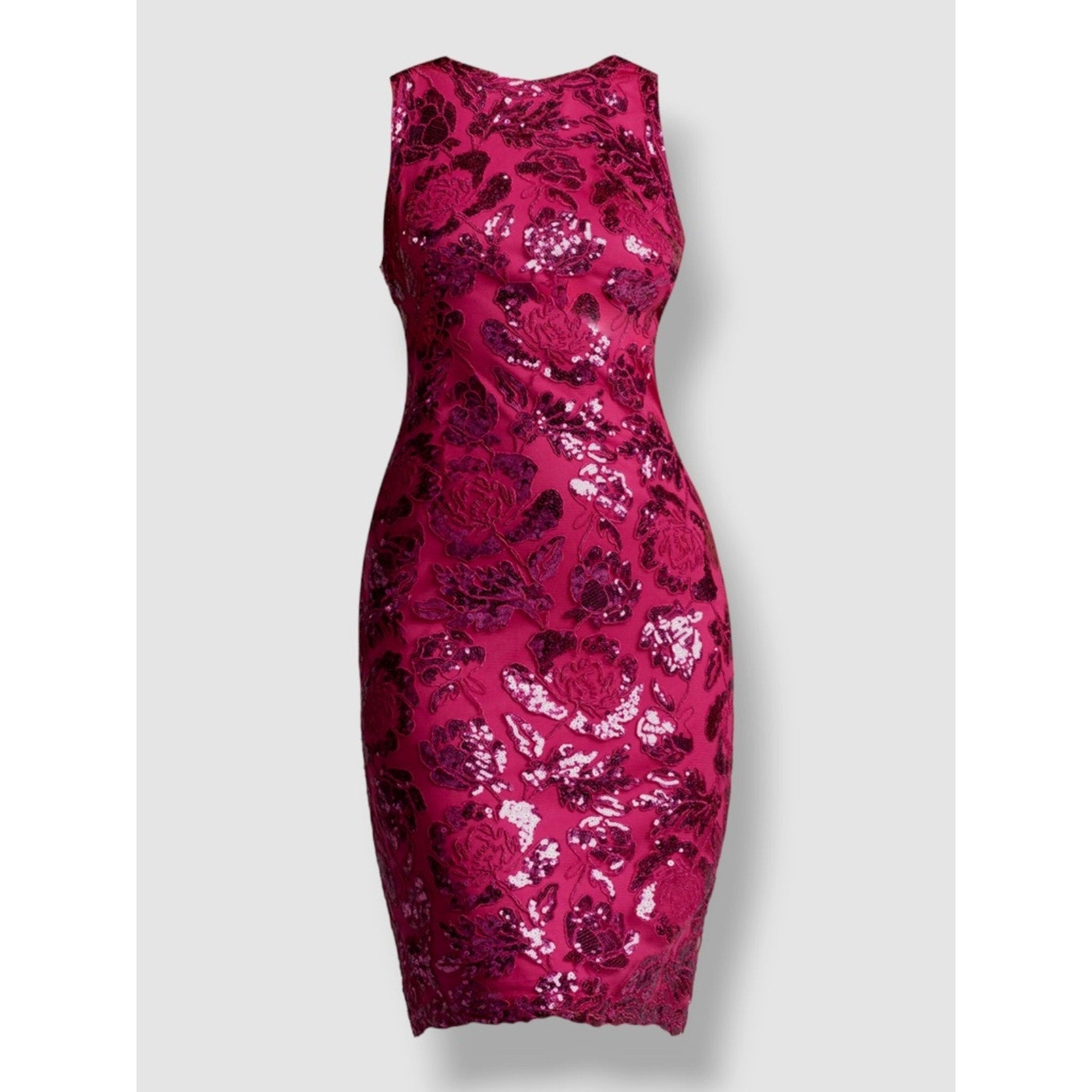 Tadashi Shoji Women Pink Sleeveless Jewel-Neck Sequin Sheath Dalia Dress -size 2