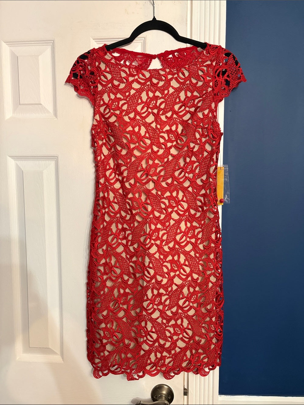 NWT Alice + Olivia Lace Red Dress - 4 🌟 - Image 3