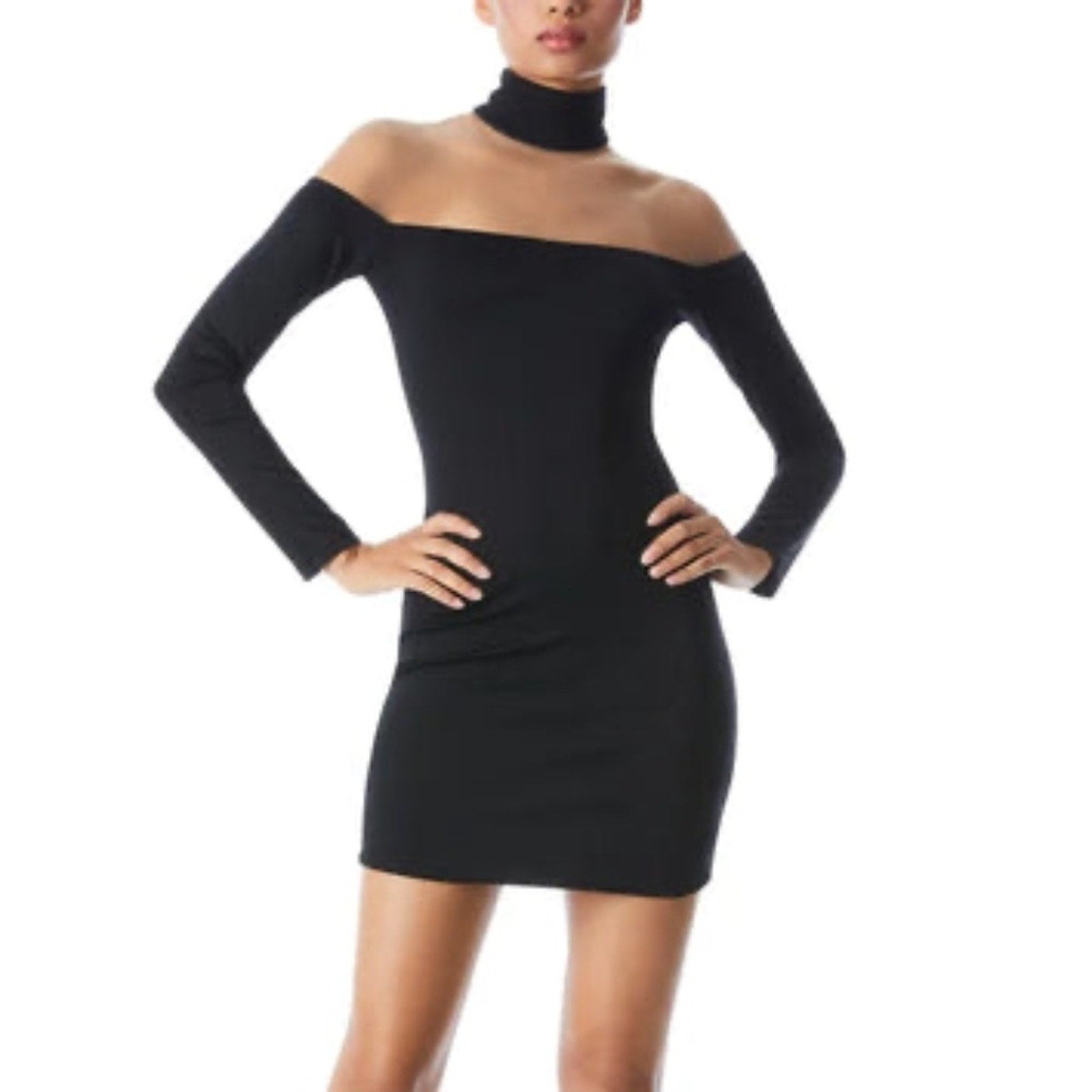NWT Alice + Olivia Zahra Sheer Turtleneck Mini Dress - size 4
