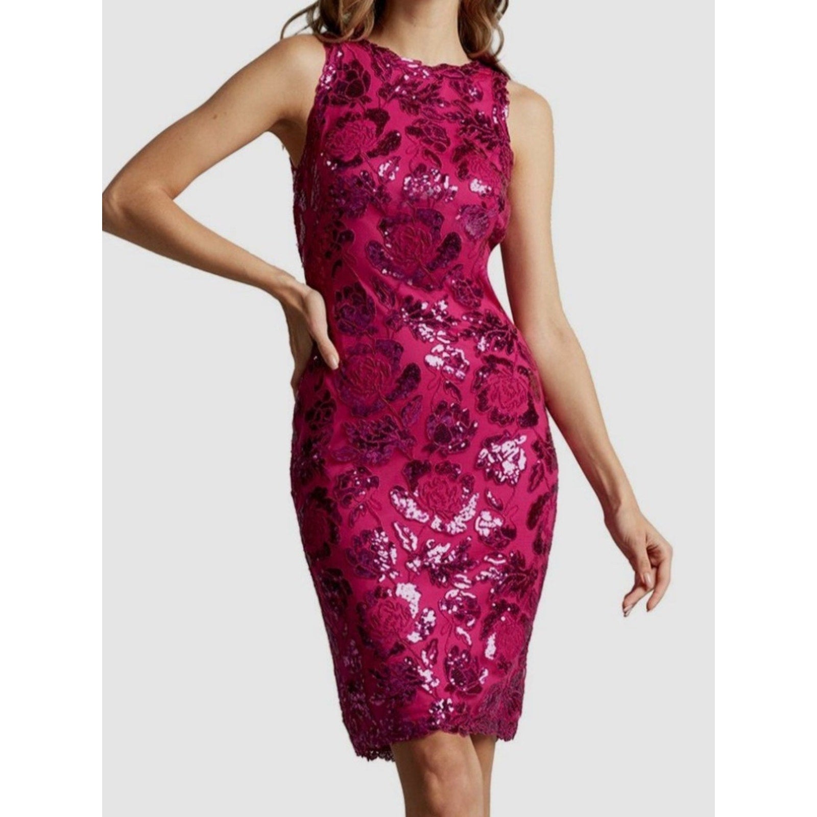 Tadashi Shoji Women Pink Sleeveless Jewel-Neck Sequin Sheath Dalia Dress -size 2