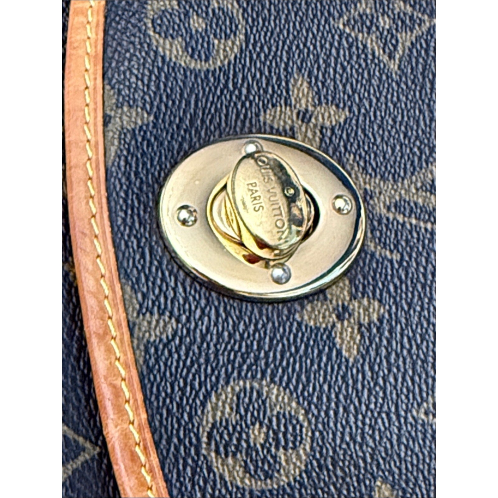 Louis Vuitton Monogram Tulum PM