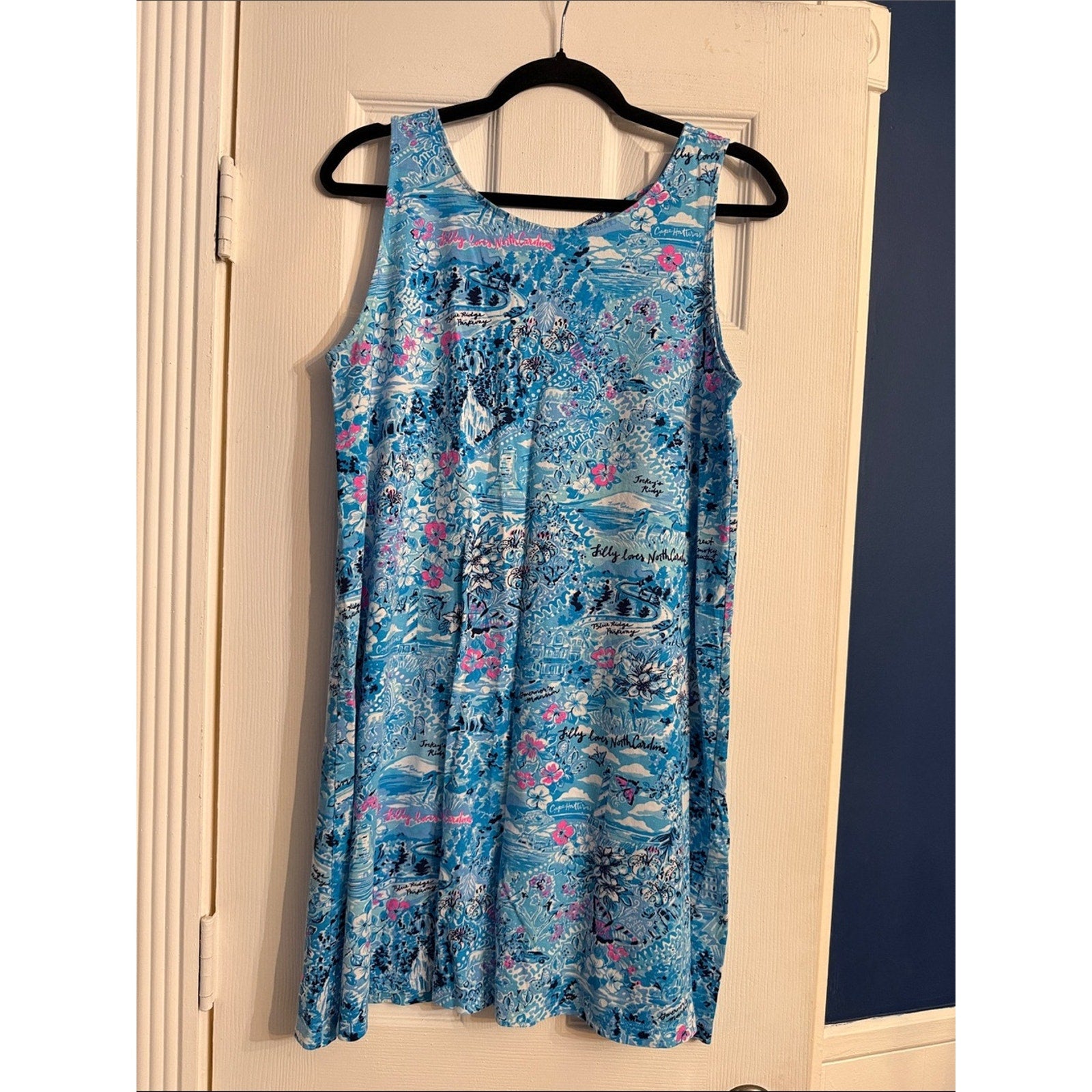 Lilly Pulitzer Kristen Cotton Swing Dress - L 🌟