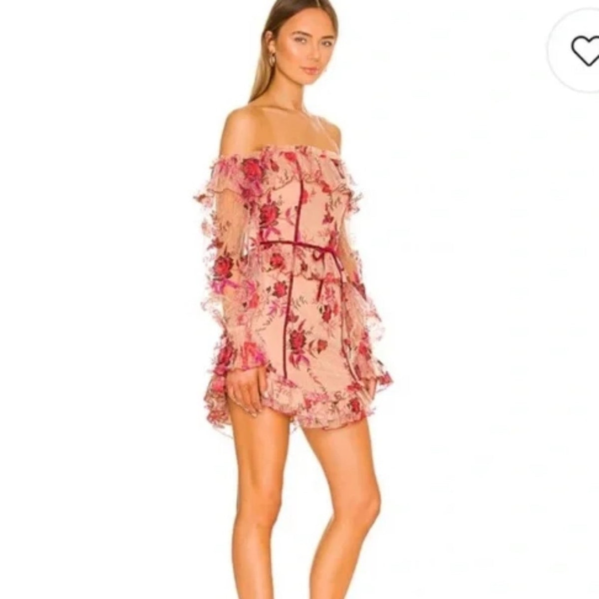 NWT Majorelle Fae Mini Dress In Scarlet Vineyard Floral Embroidered - small