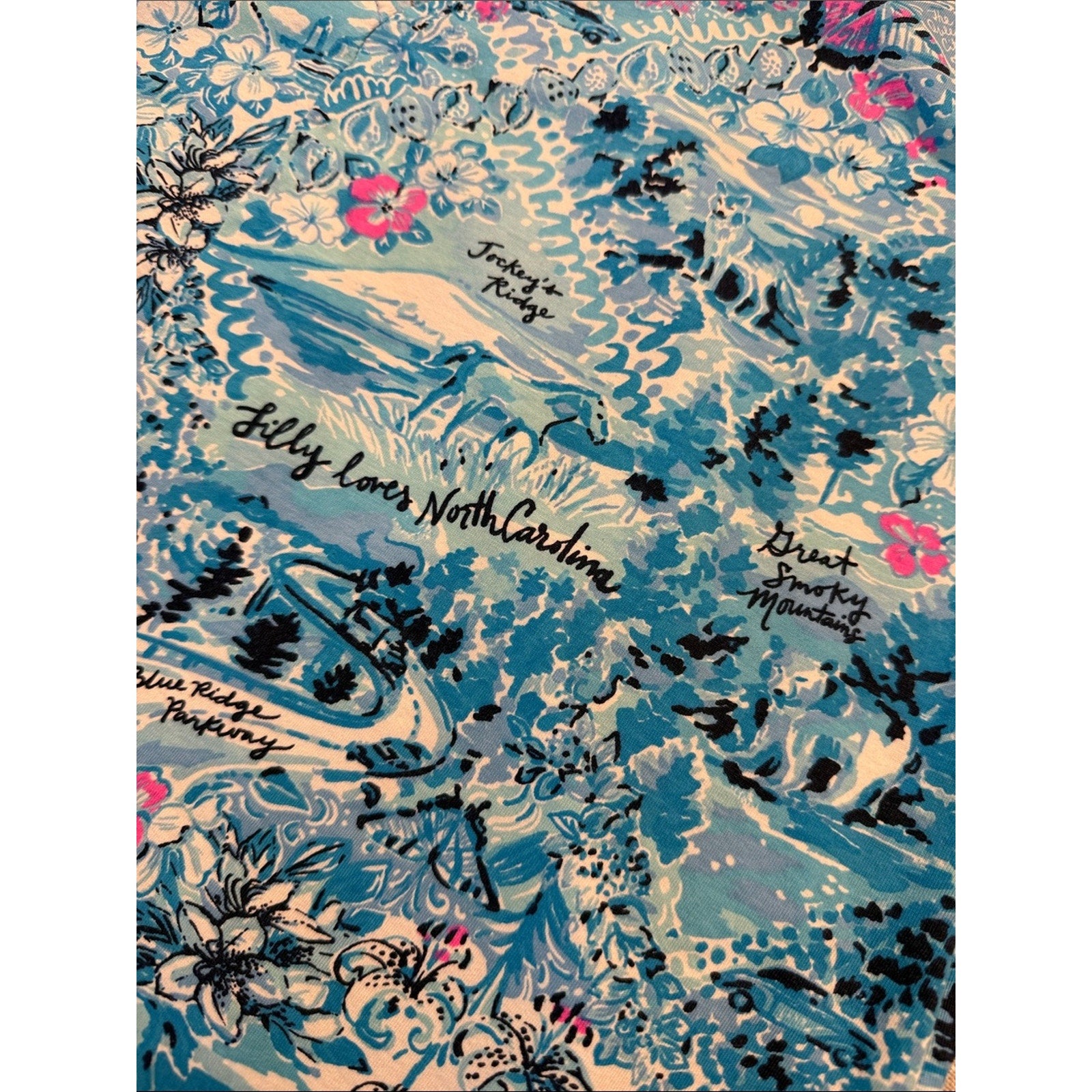 Lilly Pulitzer Kristen Cotton Swing Dress - L 🌟