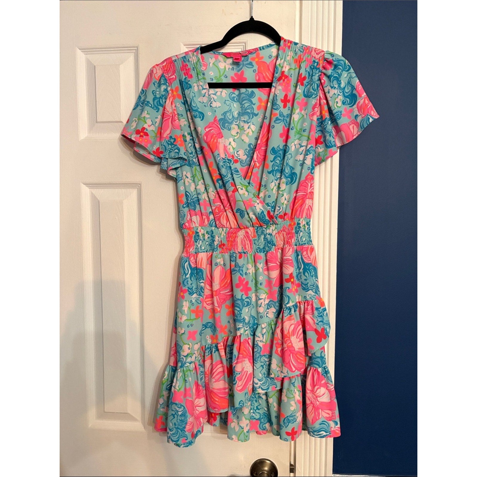 Lilly Pulitzer Maryanne Surf Blue Luscious Lions Fit Flare Dress - size 2