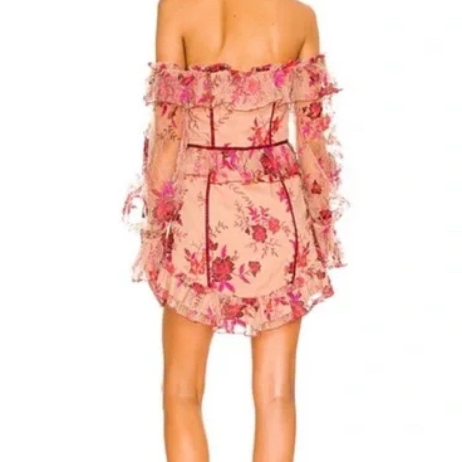 NWT Majorelle Fae Mini Dress In Scarlet Vineyard Floral Embroidered - size small