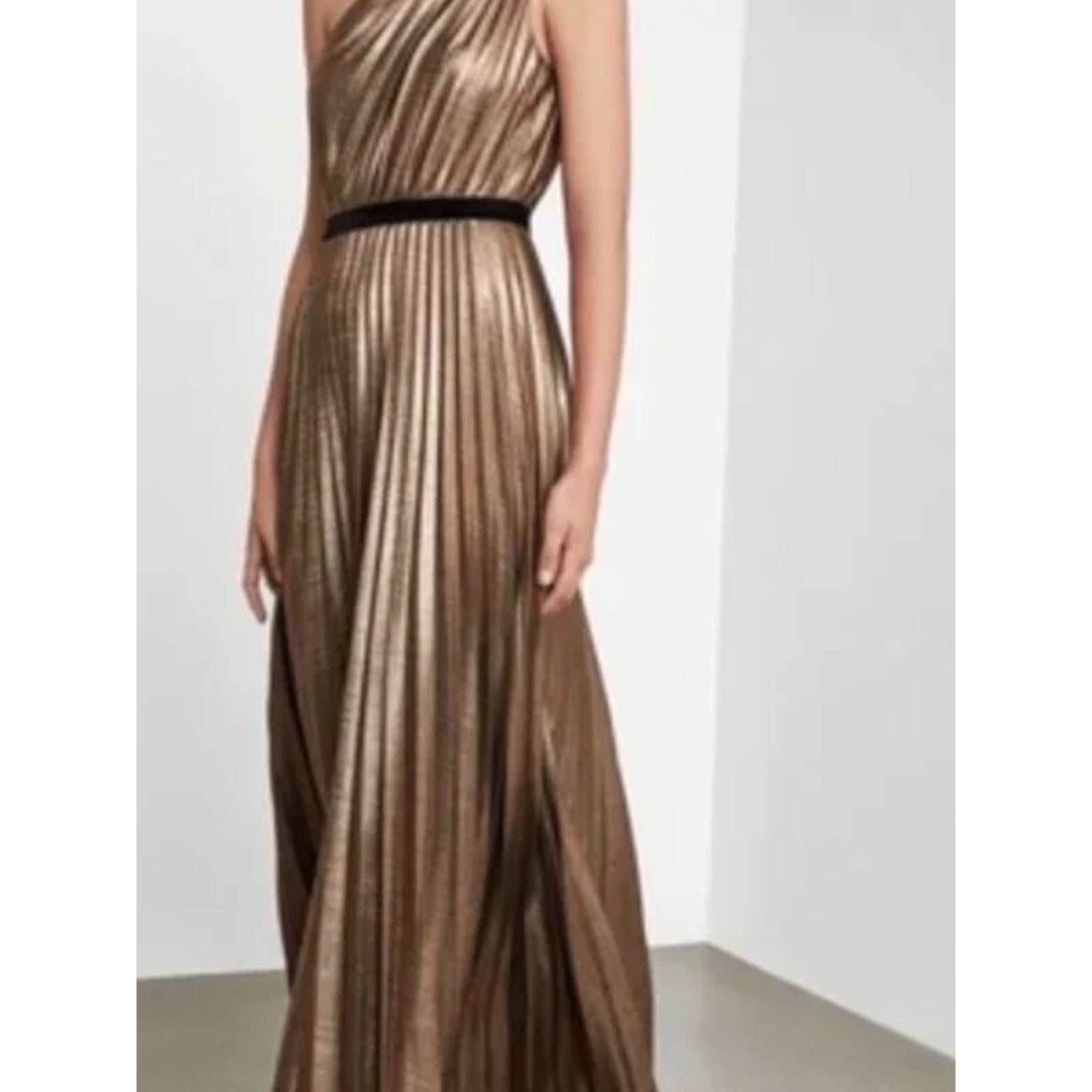 BCBGMAXAZRIA Metallic Pleated One-Shoulder Gown - L 🌟